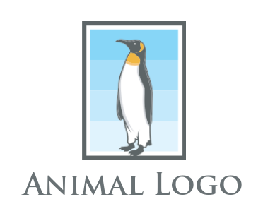 animal logo icon penguin in frame