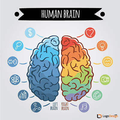 human brain emotion and psychology