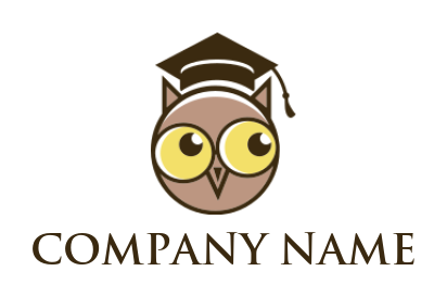 education logo icon owl face with graduation hat