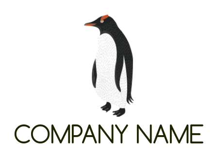 bird logo online penguin with abstract details