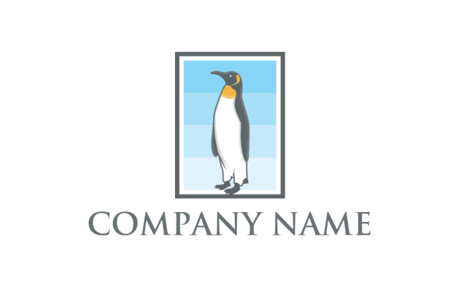 animal logo icon penguin in frame