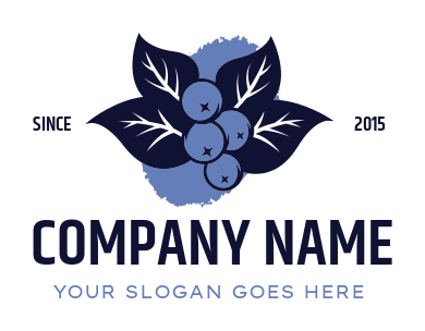 farm logo blueberries with leaves