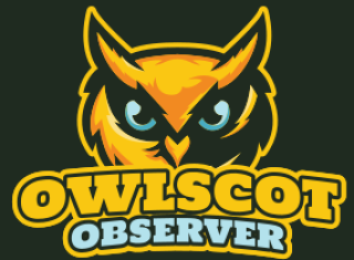 animal logo maker owl face mascot